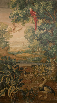 Verure tapestry catoon with a red parrot